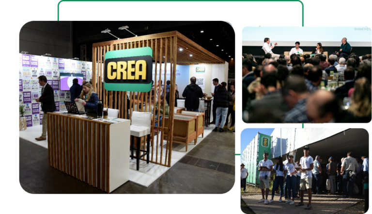 Eventos y EXPERIENCIAS - crea
