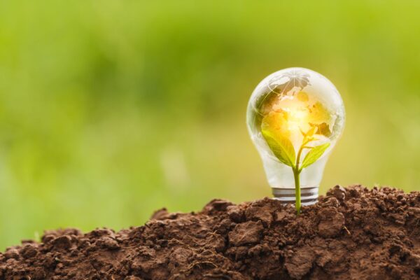 ¿Cómo habilitar la innovación en la empresa agropecuaria?