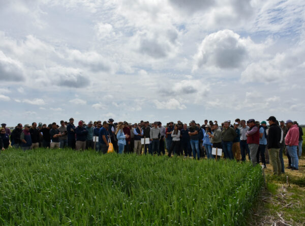 Congreso CREA Región Litoral Sur