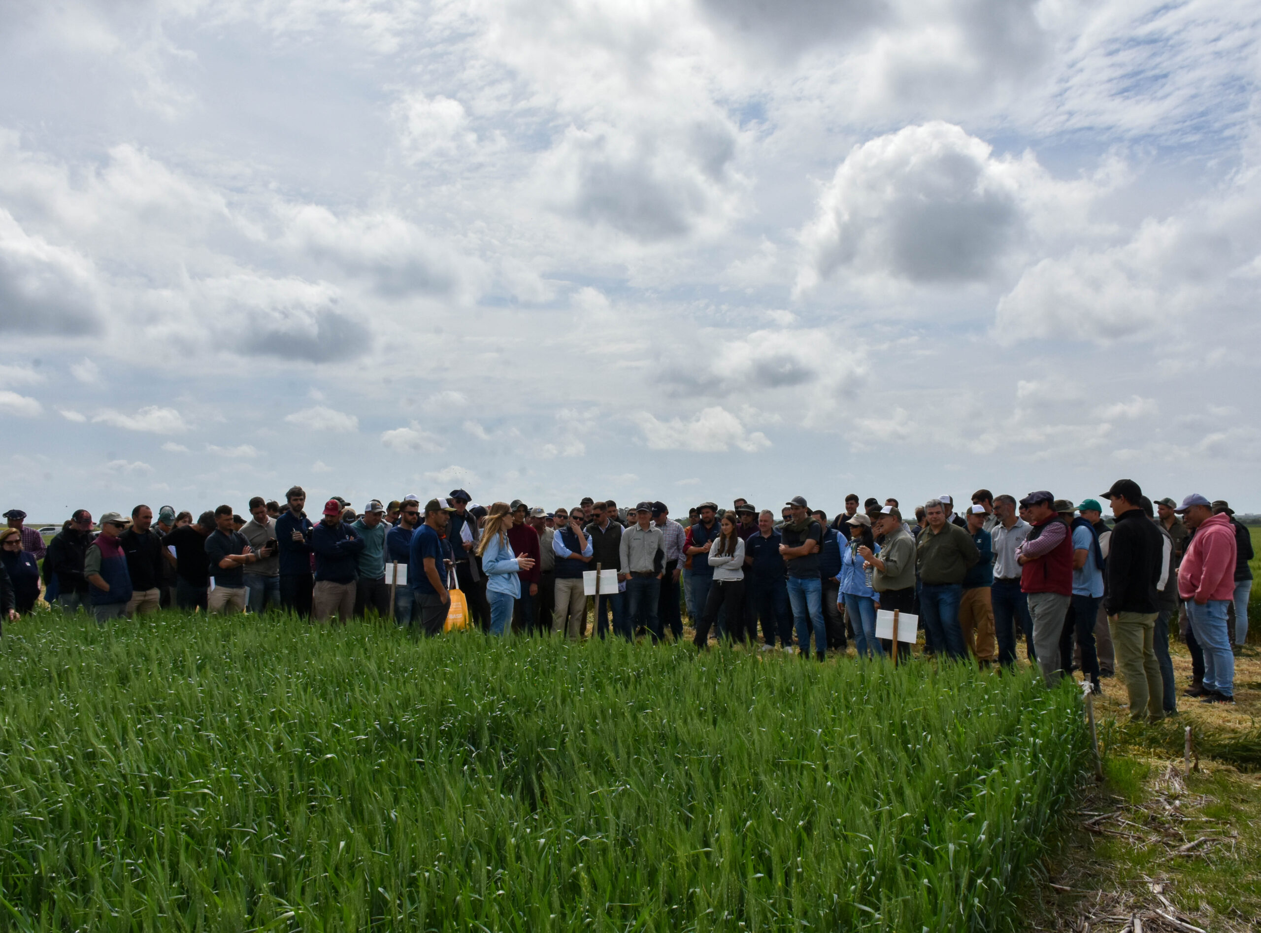 Congreso CREA Región Litoral Sur