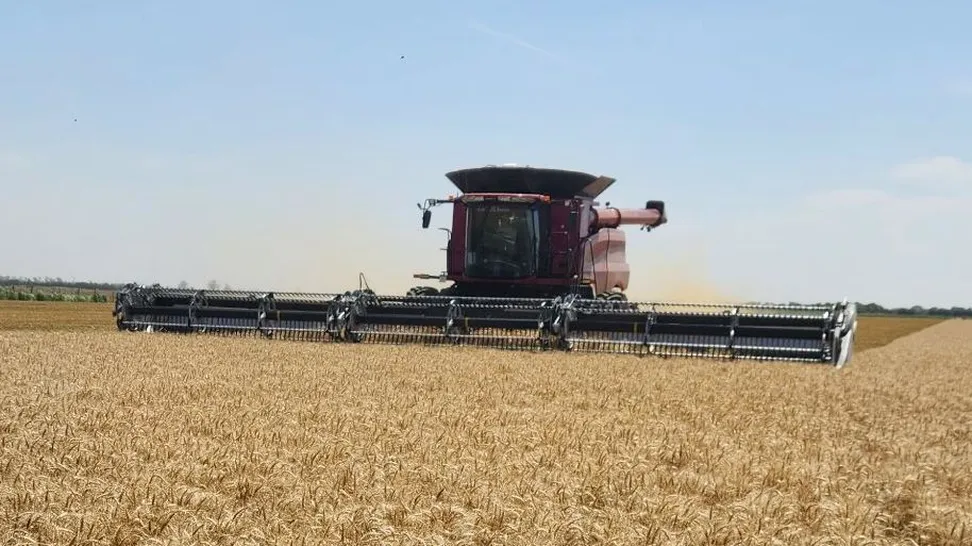 JAT de trigo | Región CREA Sur de Santa Fe