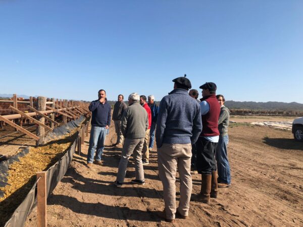 JAT Cañera | Región Noroeste Argentino (NOA)