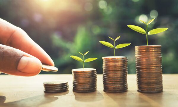 Gestión de inversiones y tesorería
